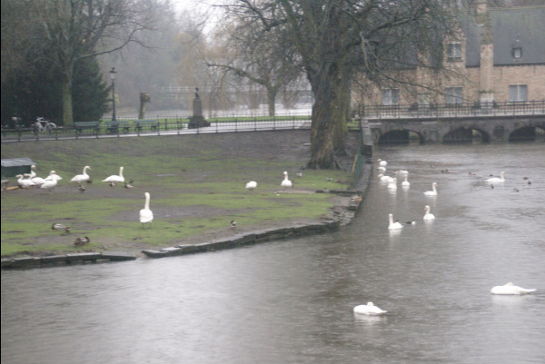 Brugge