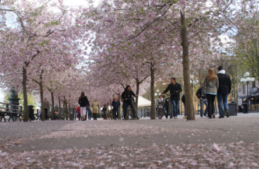 Stockholm